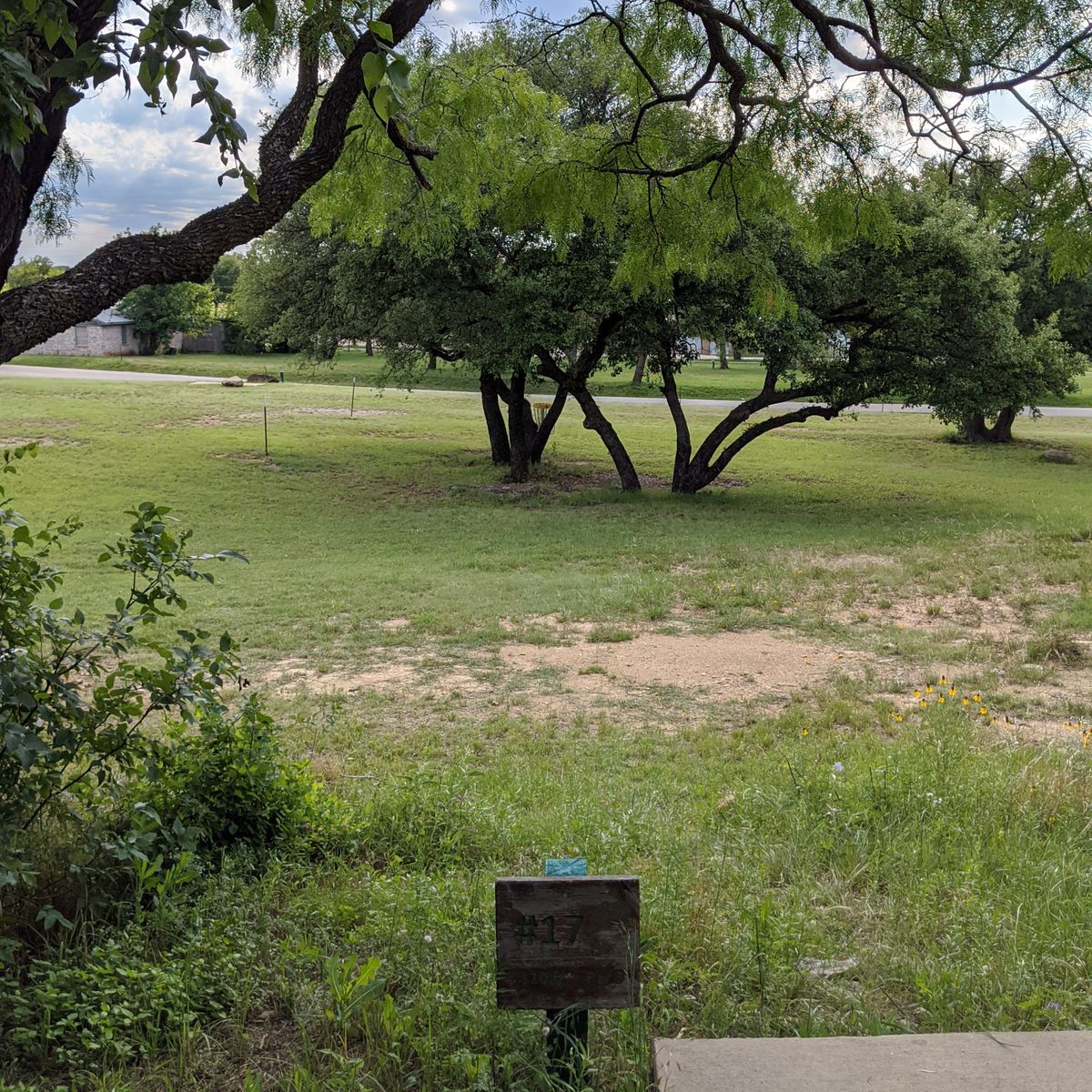 Hole 17 from tee to basket.