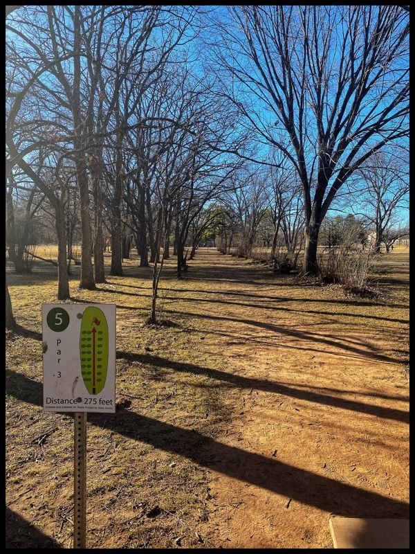 #5 green throwing west through alley between trees