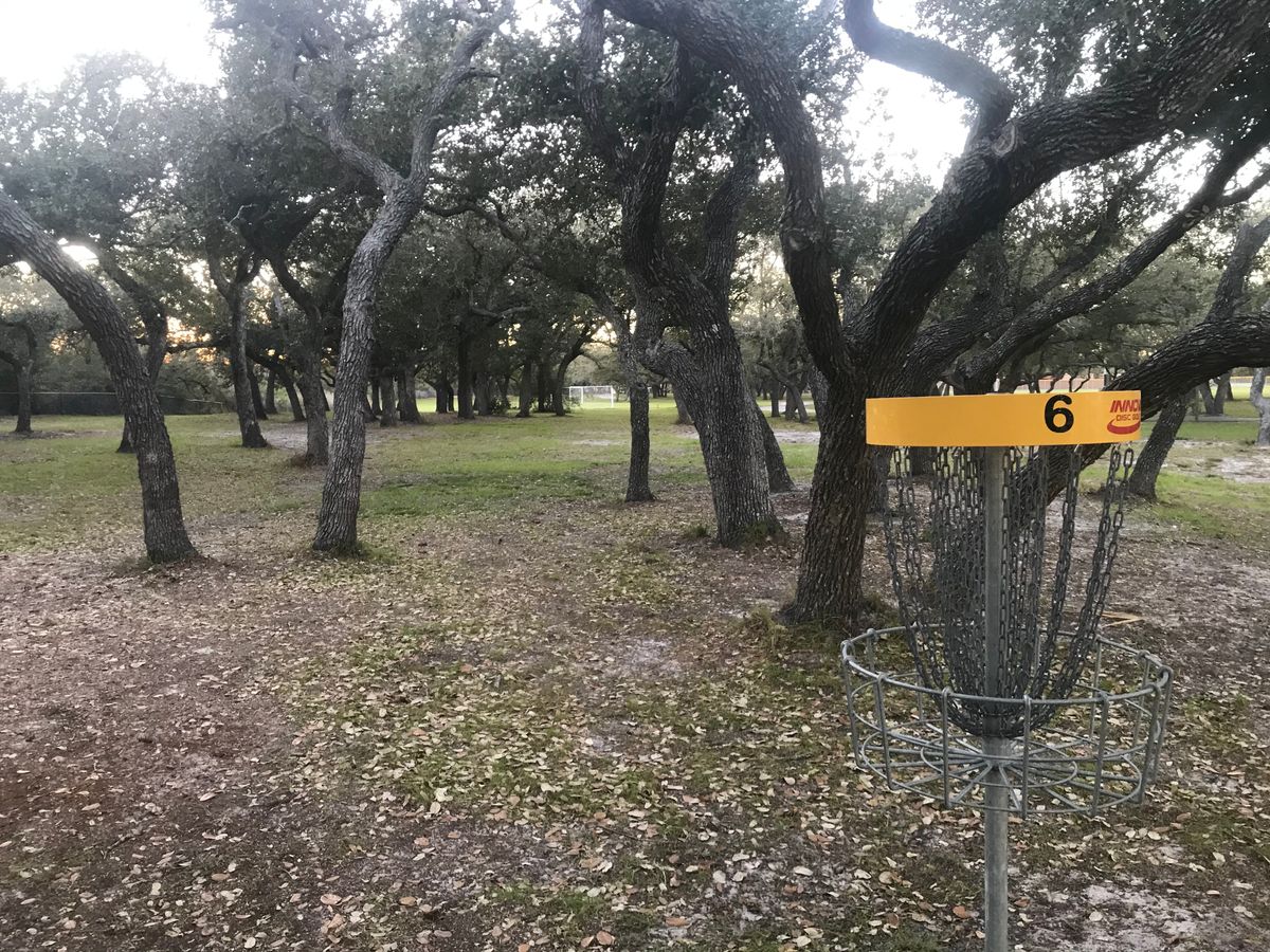 Basket 6 looking back at tee