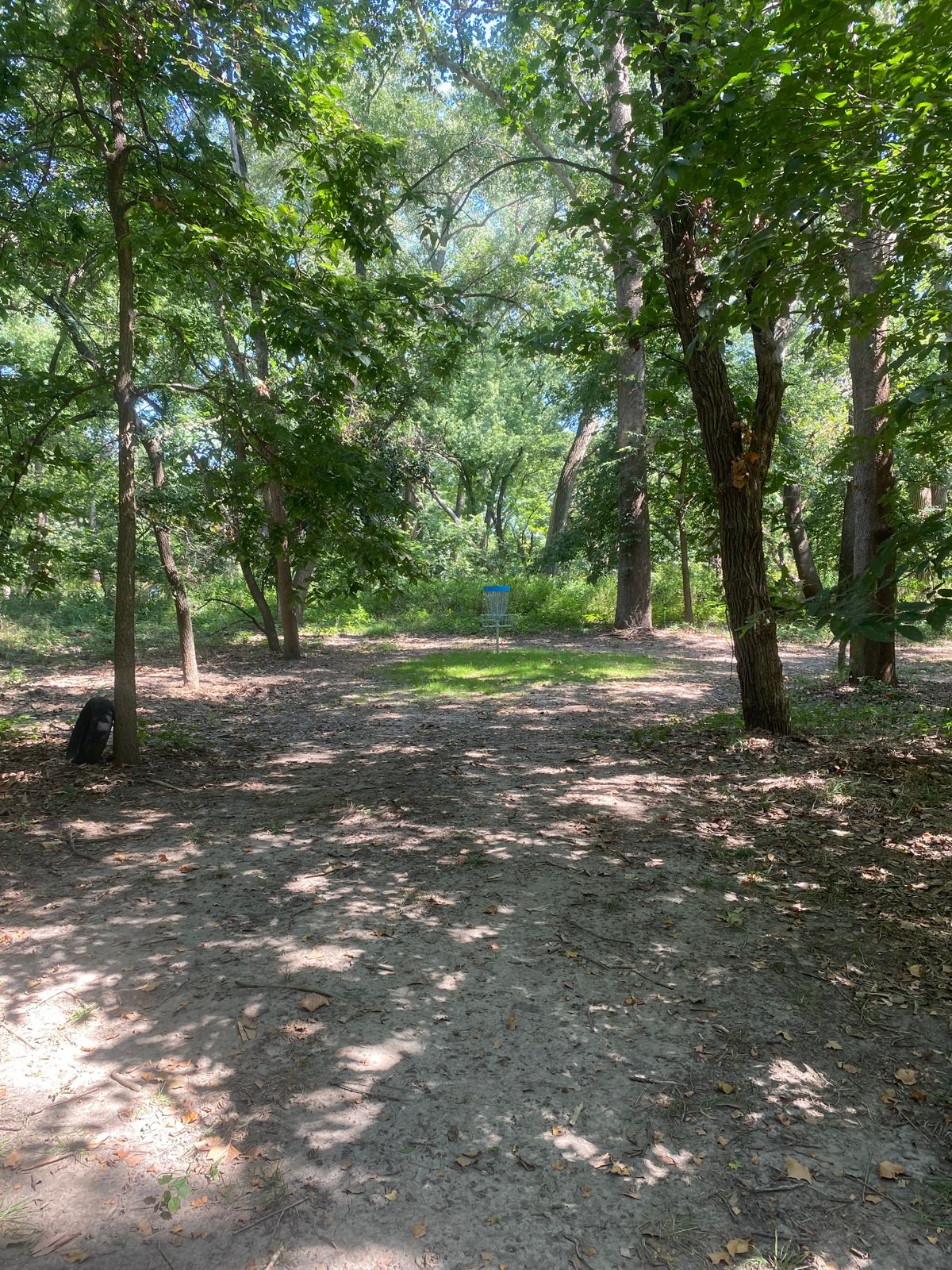 Hole 15 basket