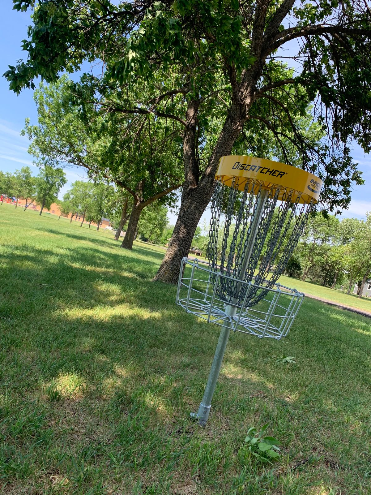 View looking back towards hole 3 teepad. New Discatcher baskets on most holes.
