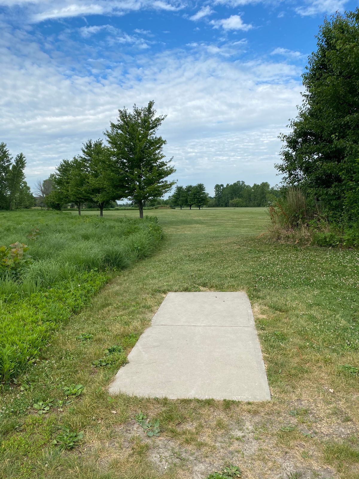 Hole 4 (Tee Box)