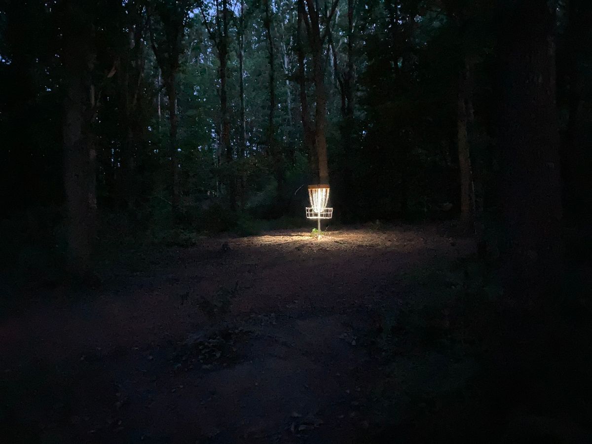 Nat Discgolf i skoven