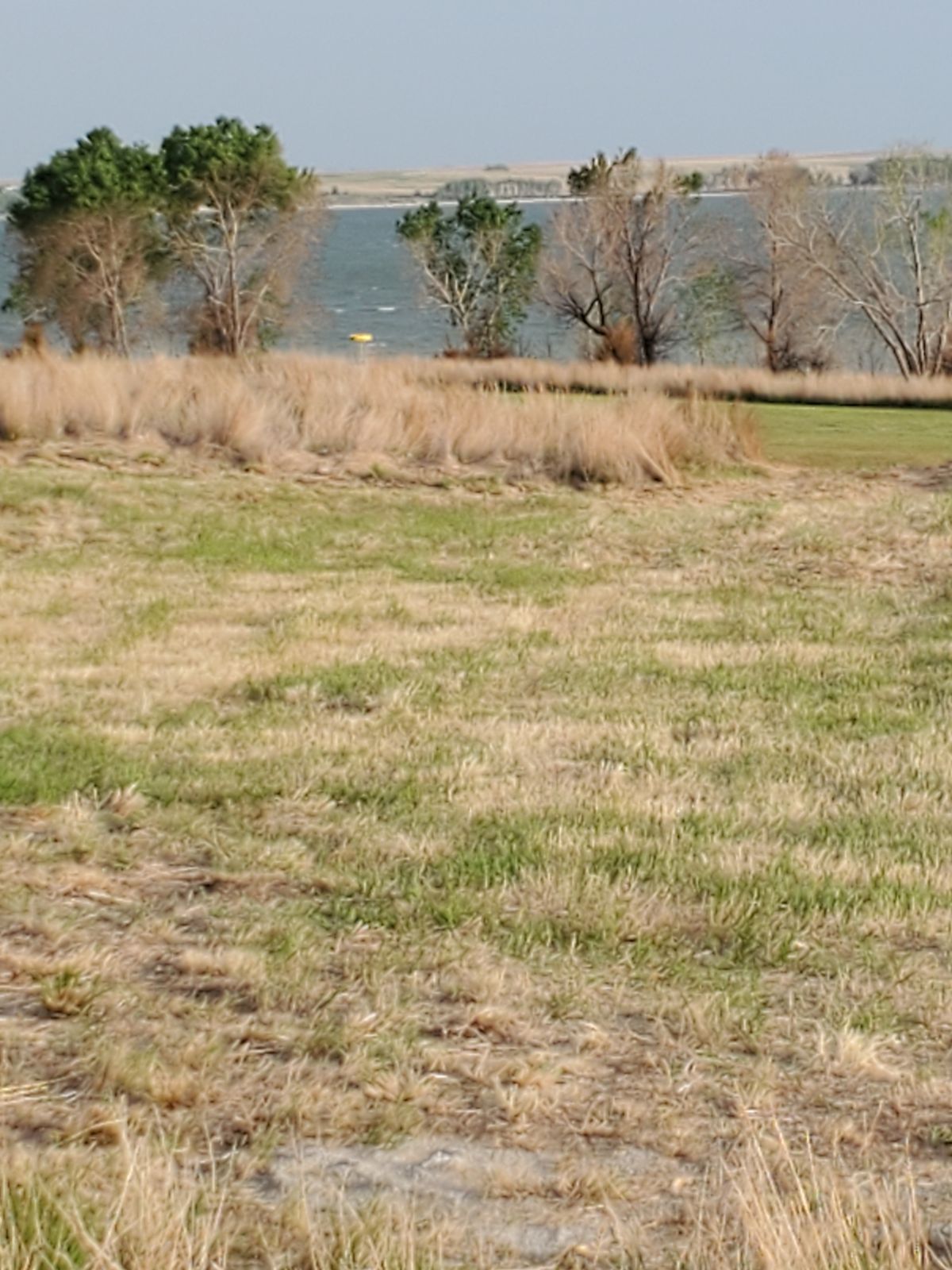 Hole 5