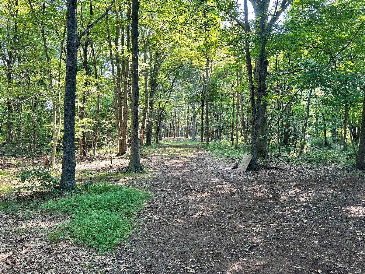 Hole 15 - large gully near basket