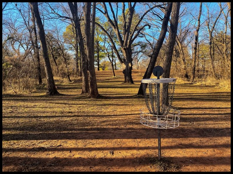 #15 green looking back to Tee