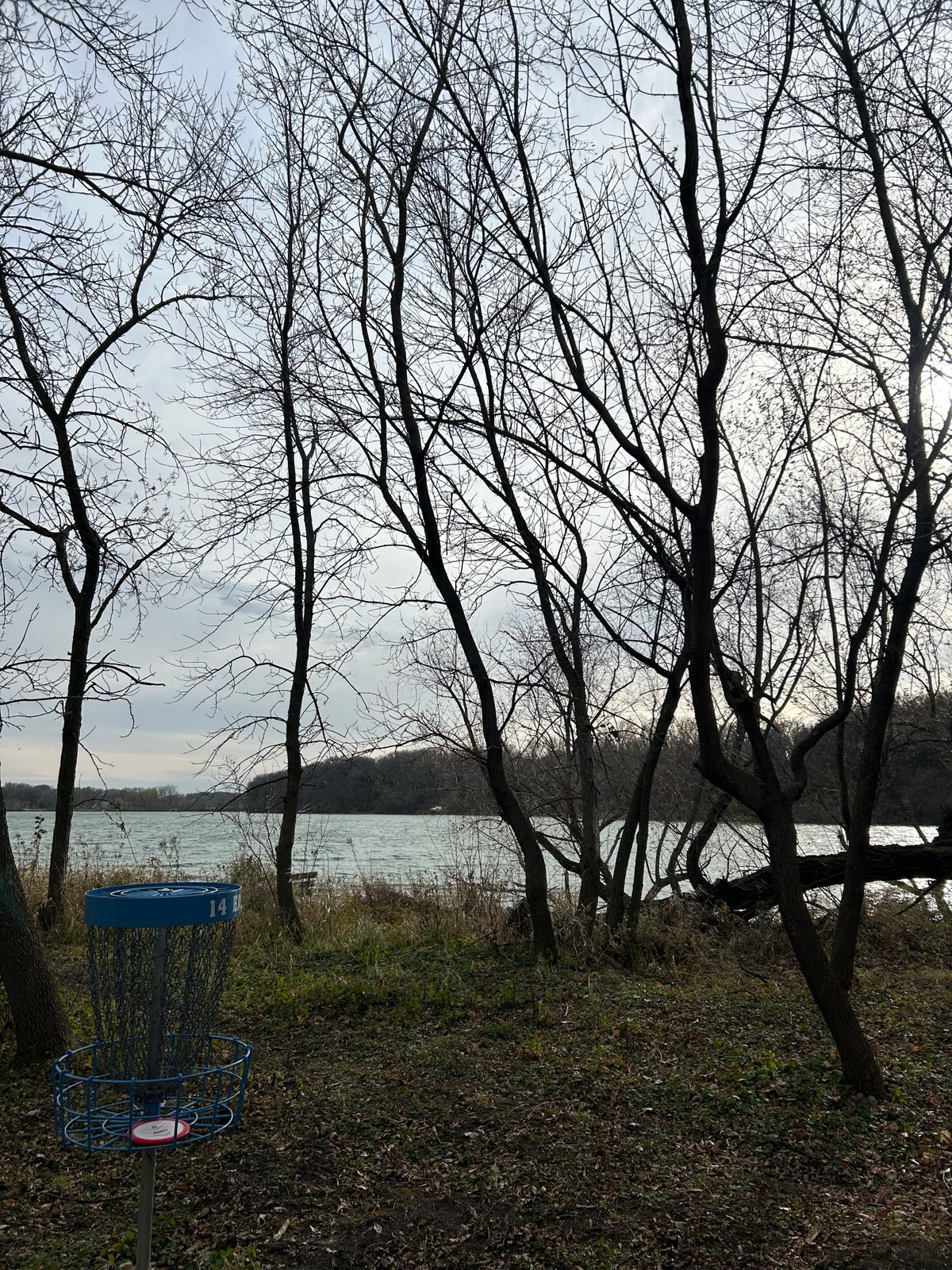 Nice view of the lake from 14s basket