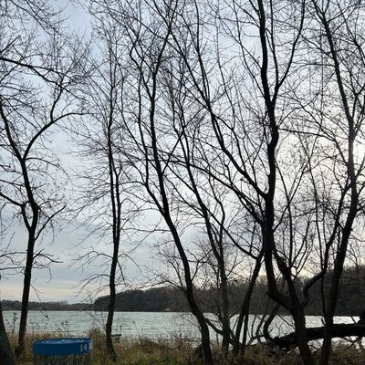 Nice view of the lake from 14s basket
