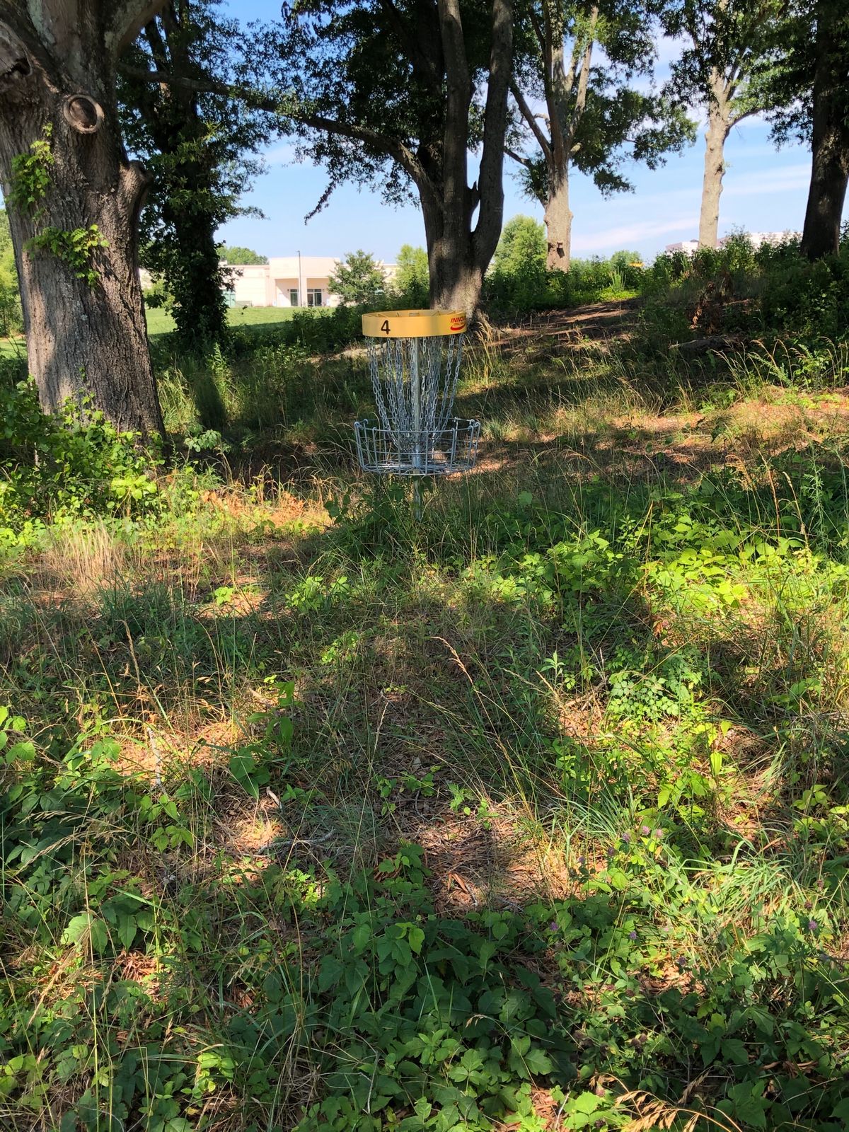 Course completely overgrown