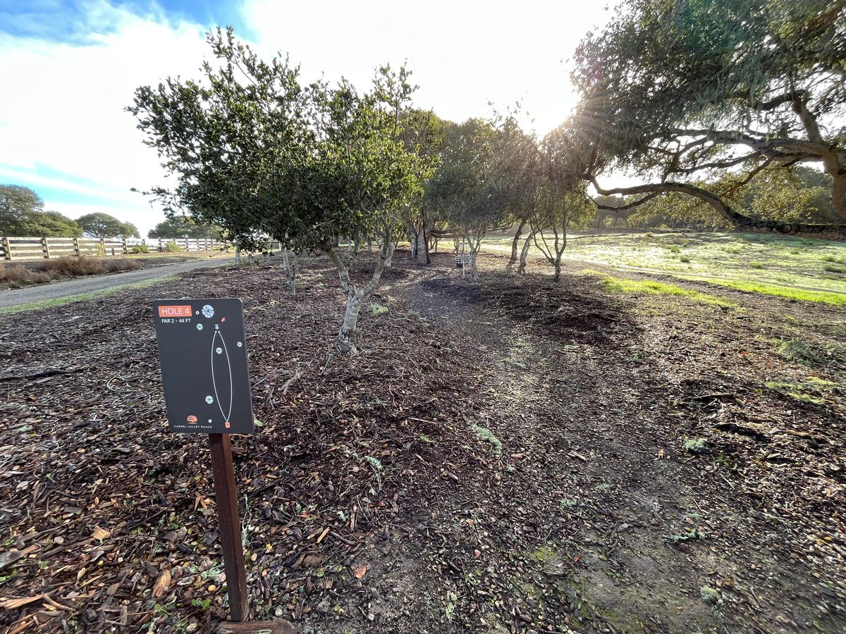 Hole 4 - Par 2 44ft