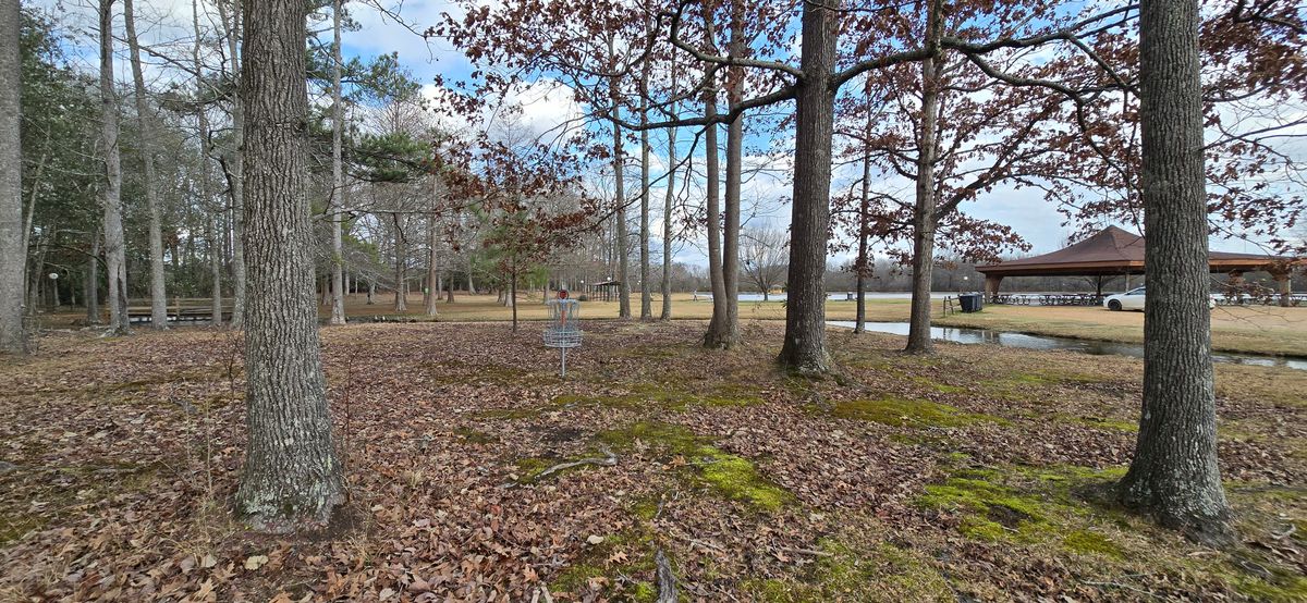 Hole 12 basket location and a nice scenic view of the stream and the lake in the background.