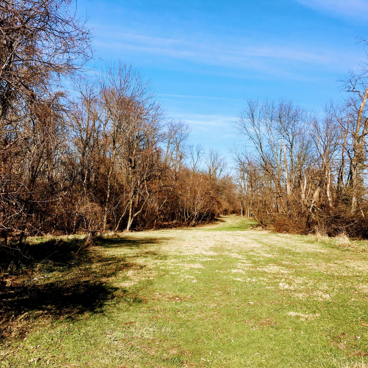 Hole 6