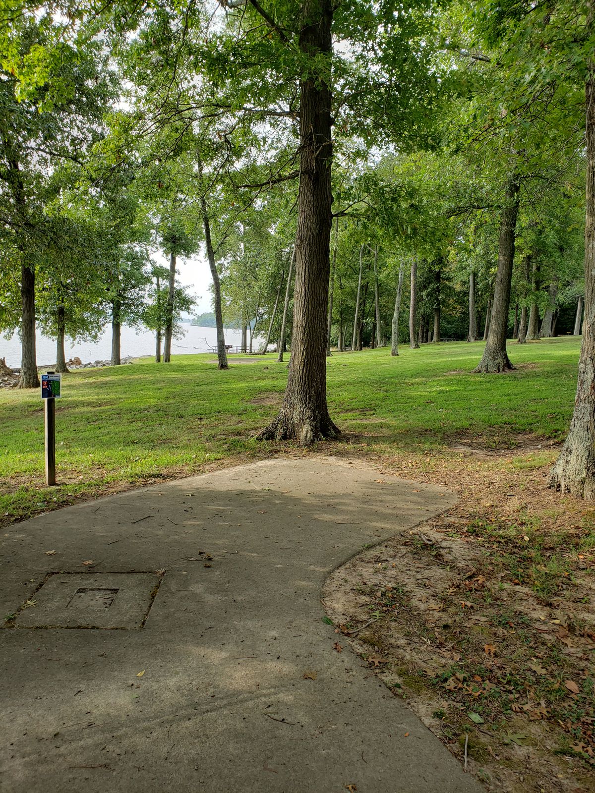 #4 Tee-Pad and Fairway