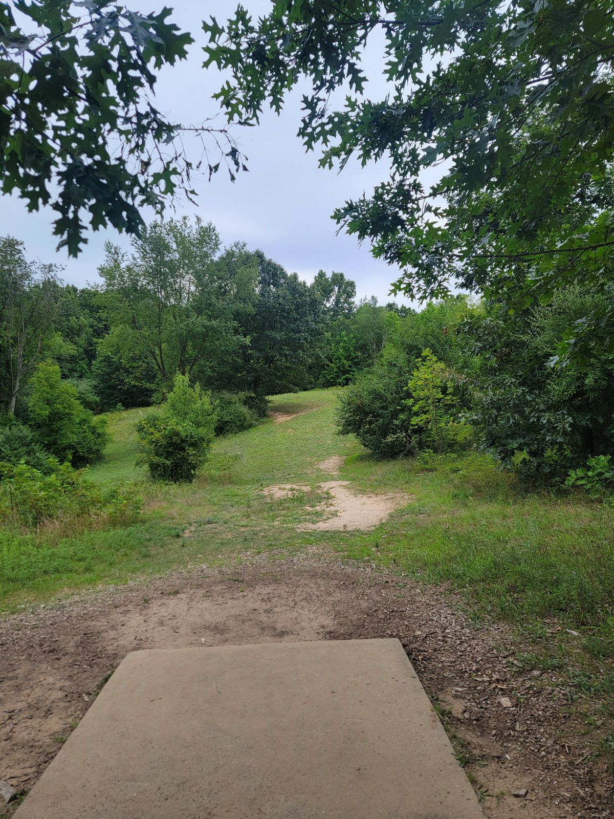 Hole#9