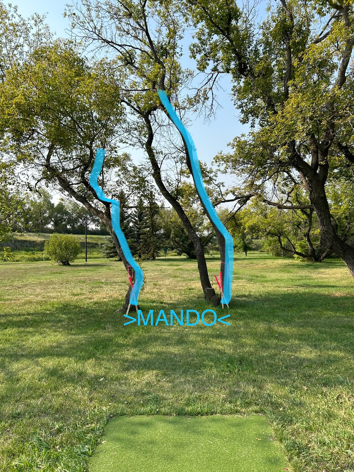Hole 12 - disc must pass between mando trees. OB is walking path and beyond to the left