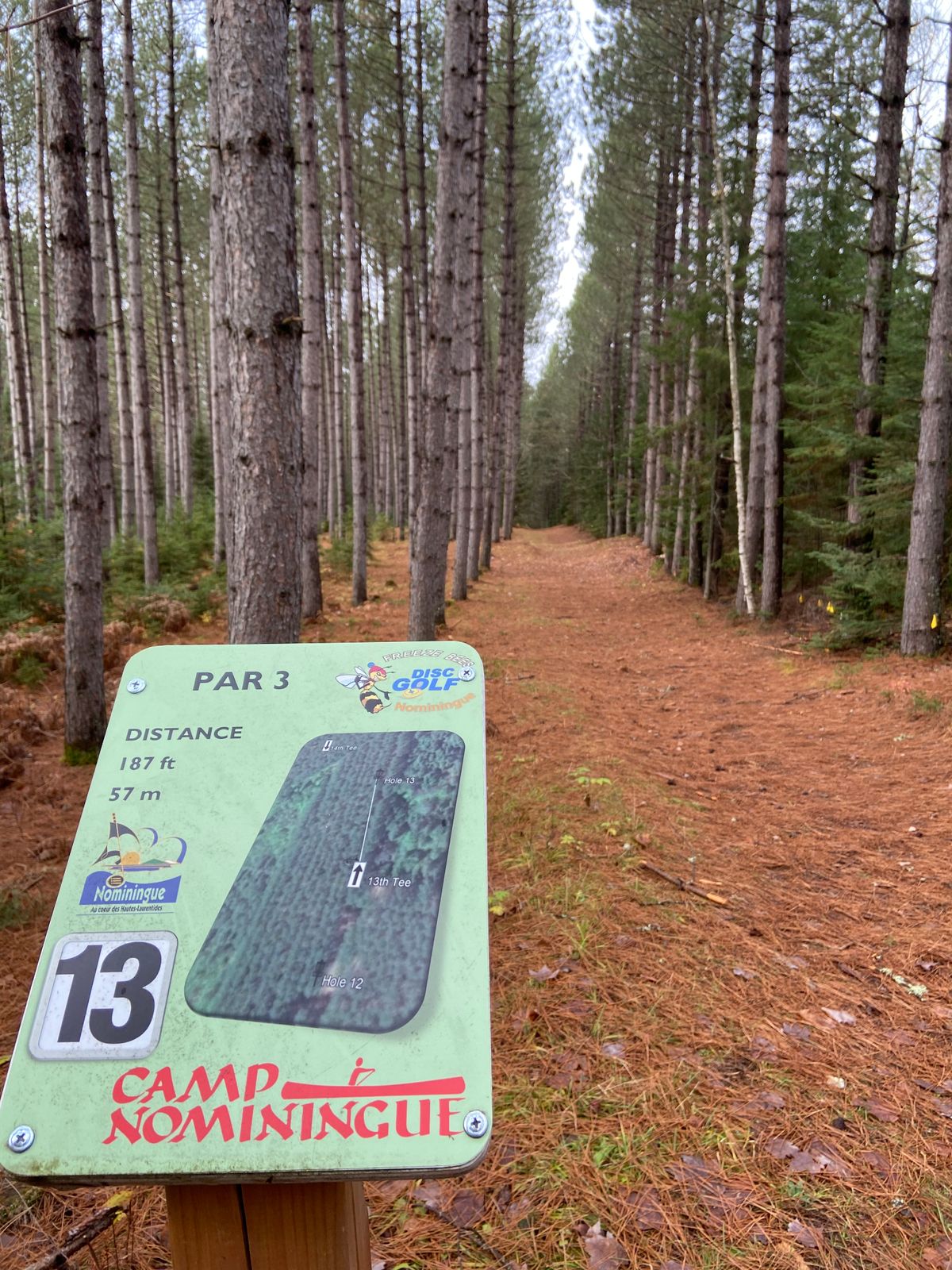 Tee 13