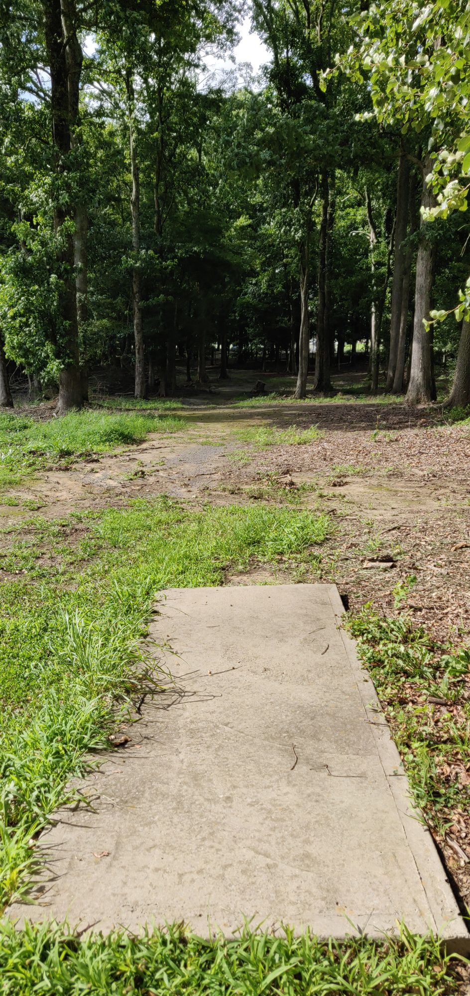 Hole 14 Tee