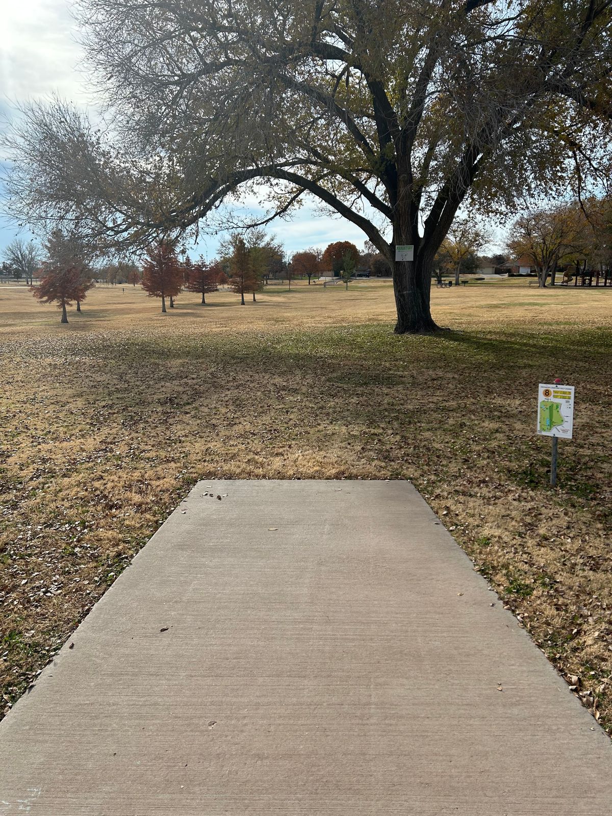 Hole 8 (Shorts)