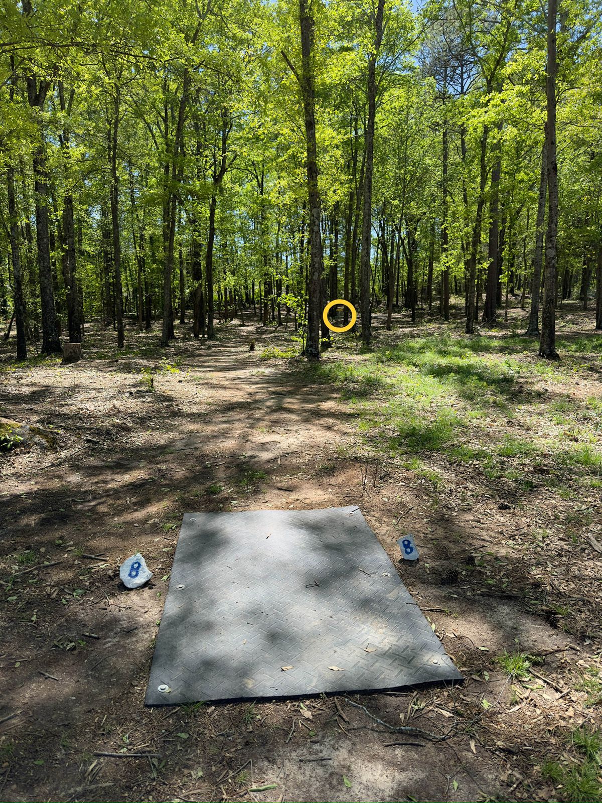 Hole 8 tee