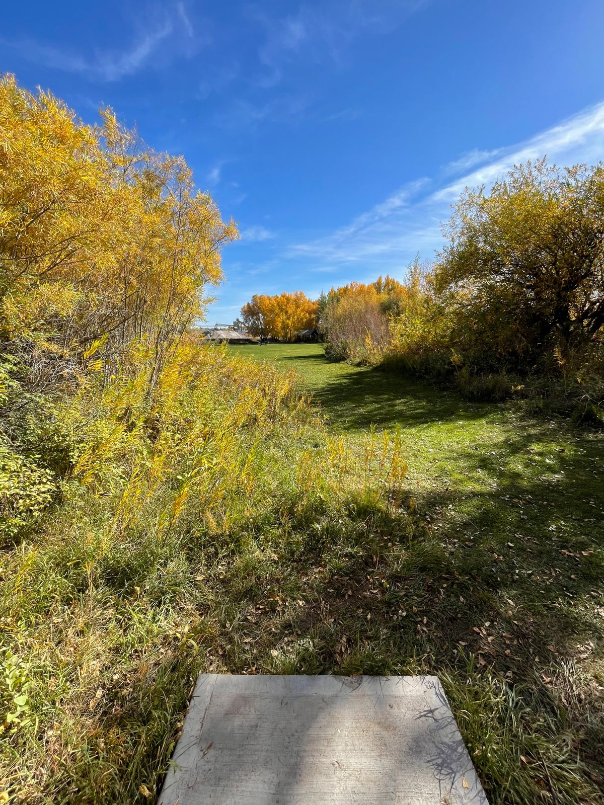 Tee pad of 9 Eagle Park