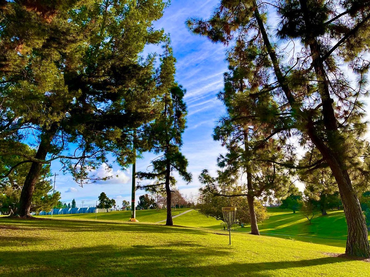 Hole 16 basket