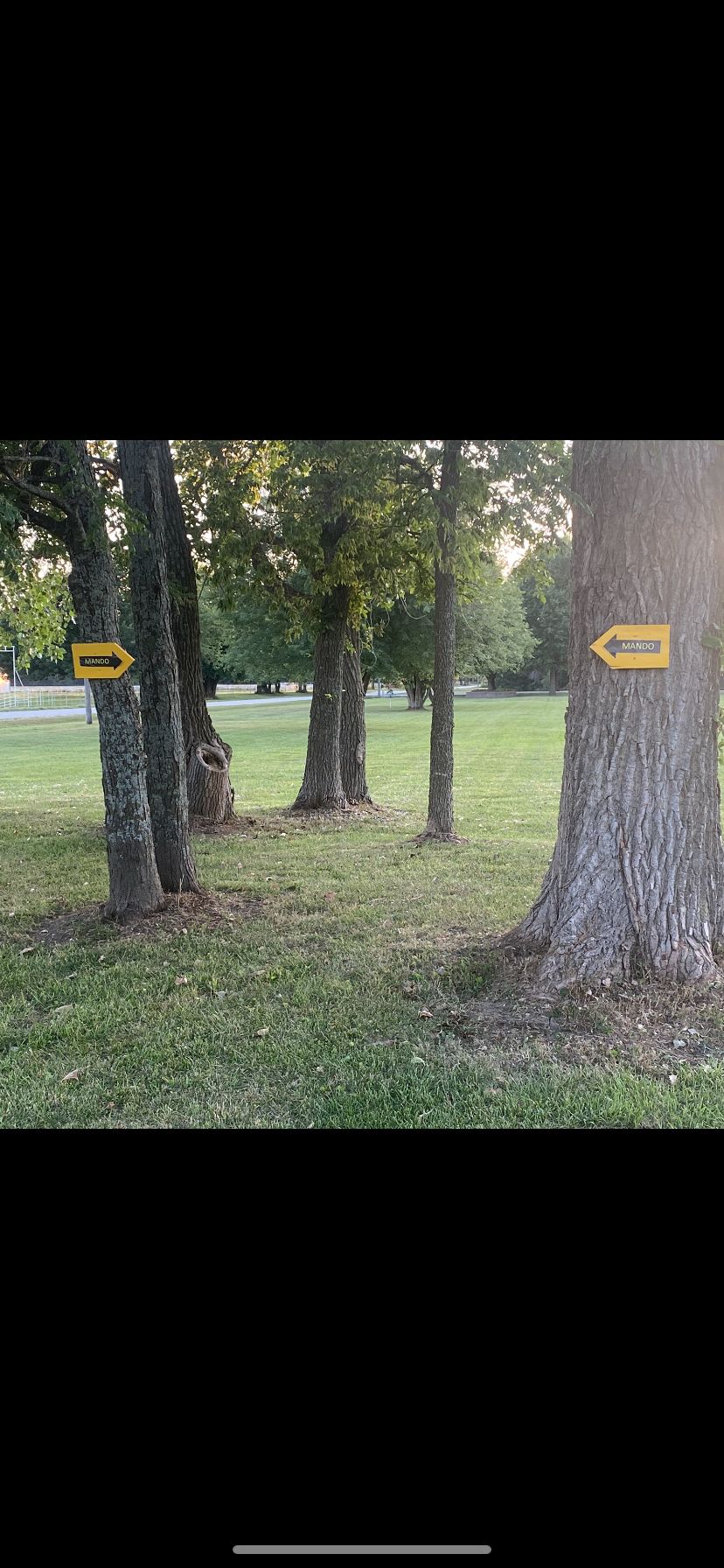Double Mando from Hole #7 A to Basket 
