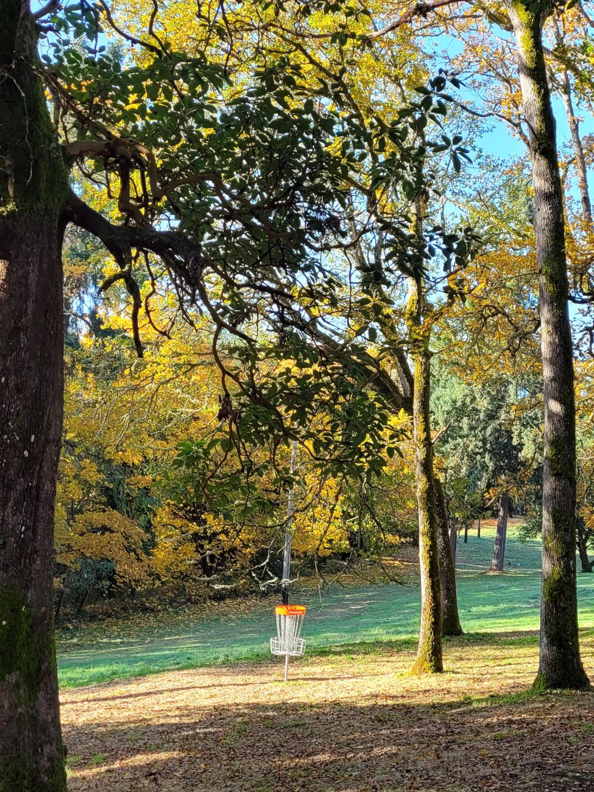 Hole 1 basket in the fall