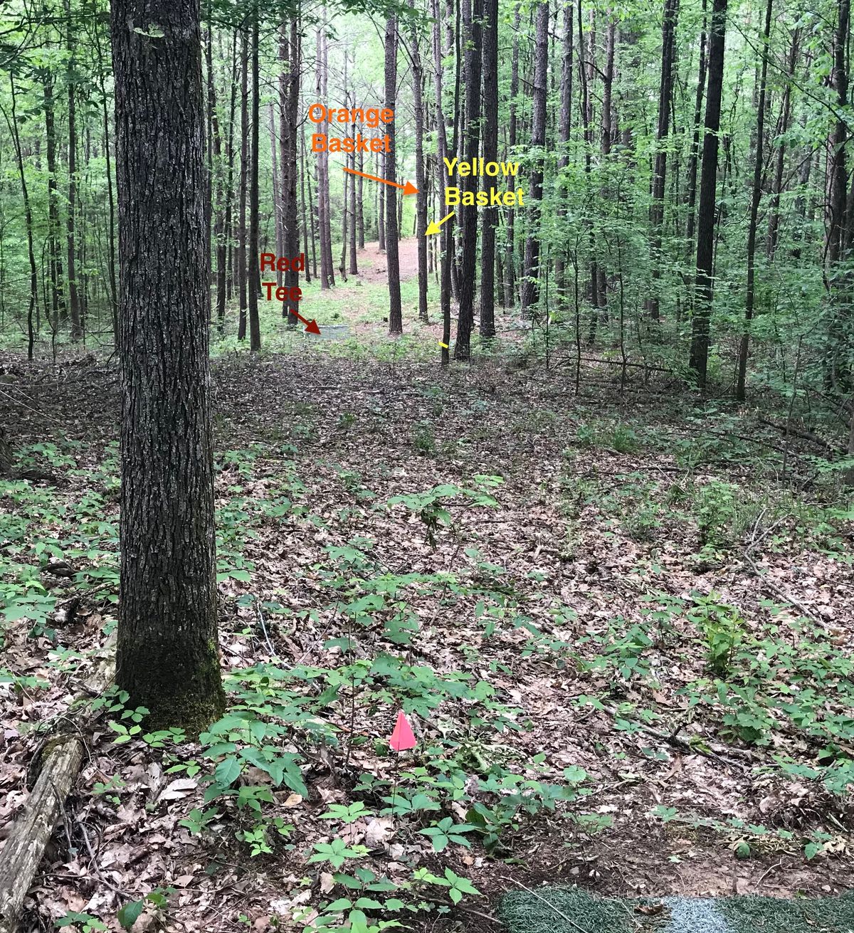 Hole 8 white tee