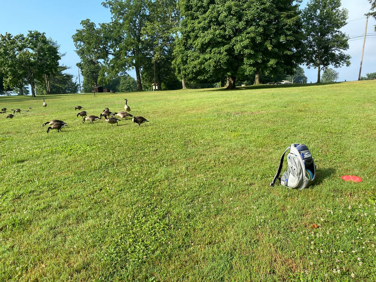 Original #3 fairway — basket has been removed.