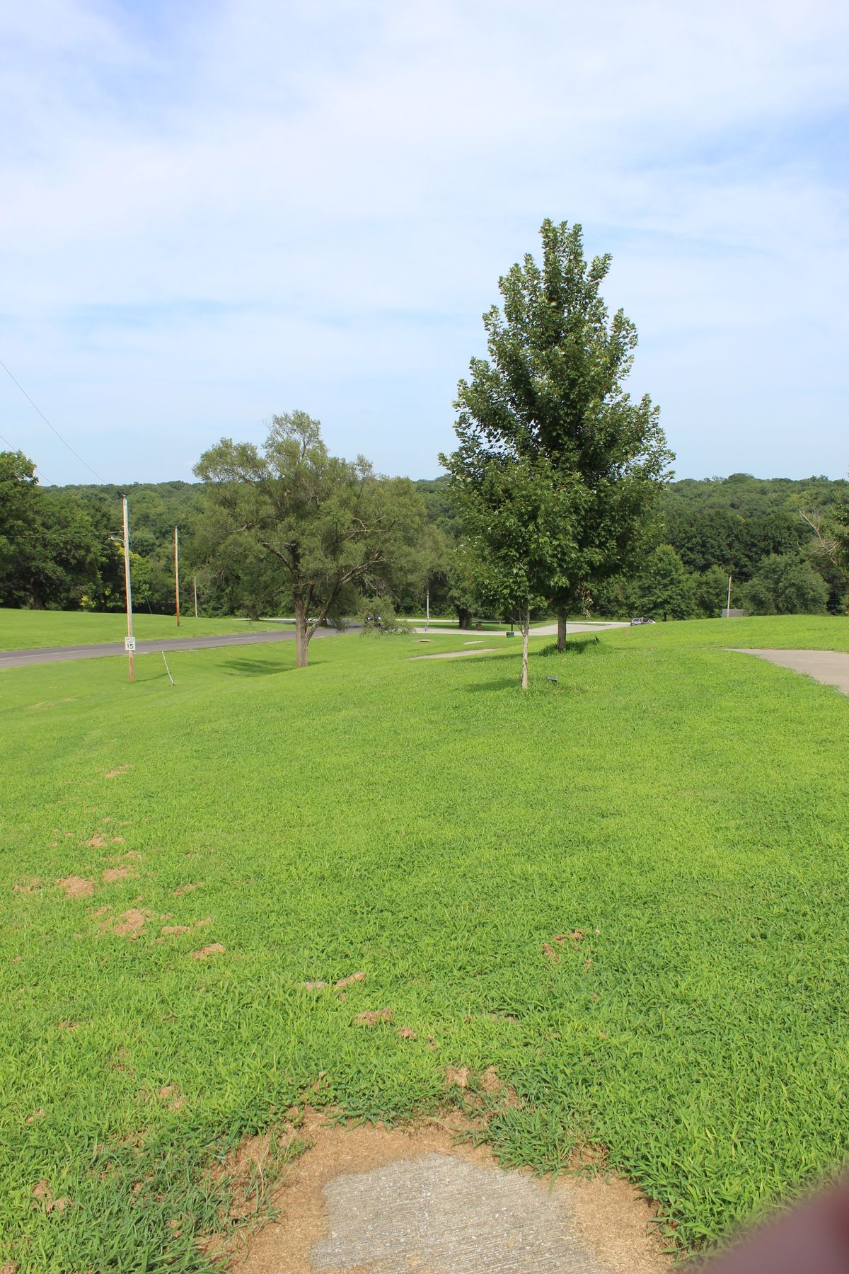 Hole 15 (Tee)