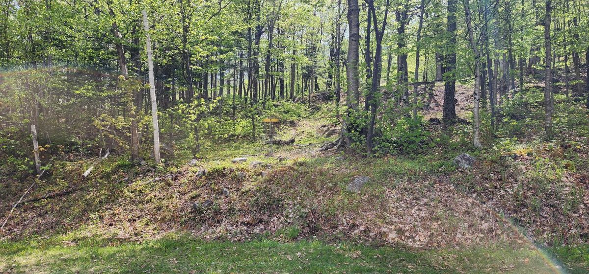 Hole 8
