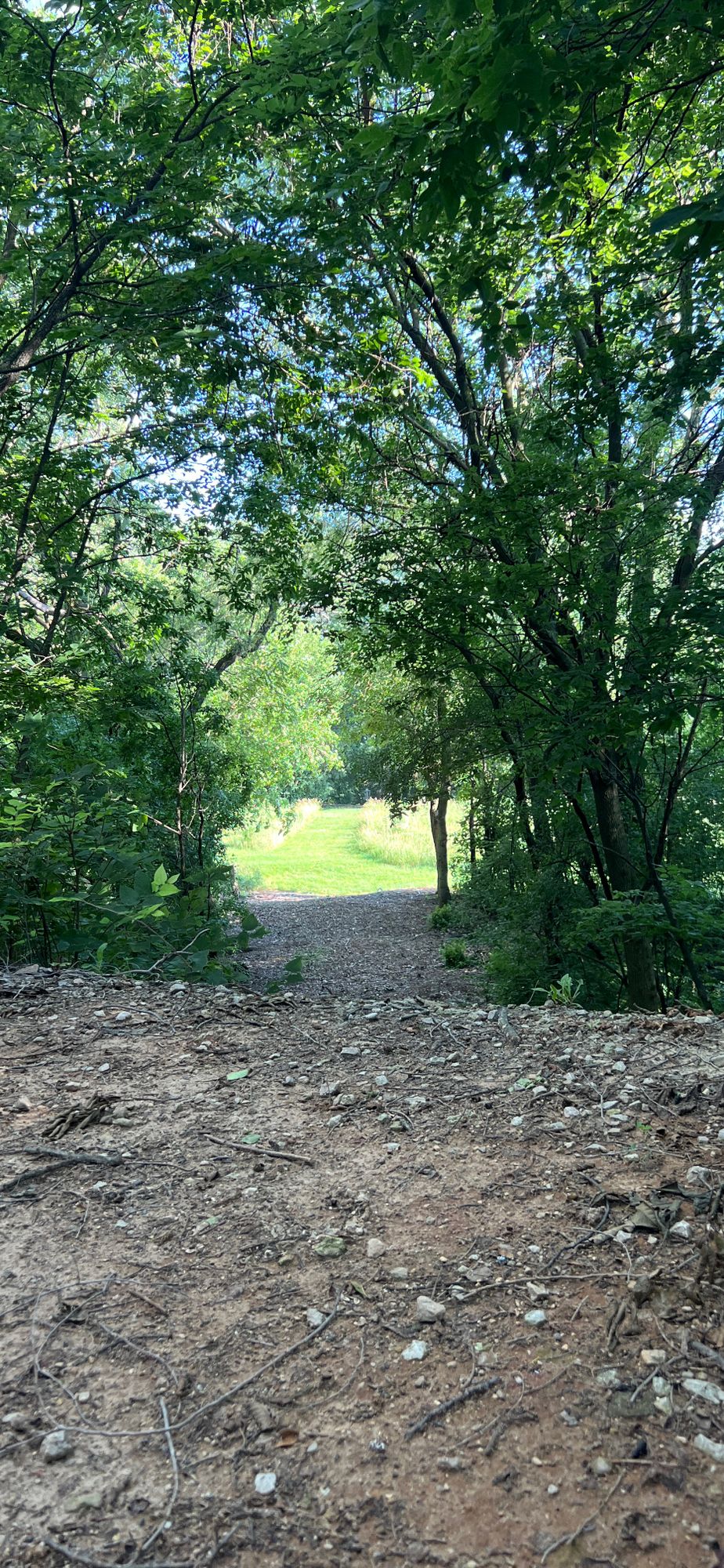 Hole 6 - From Tee Pad - June 2024