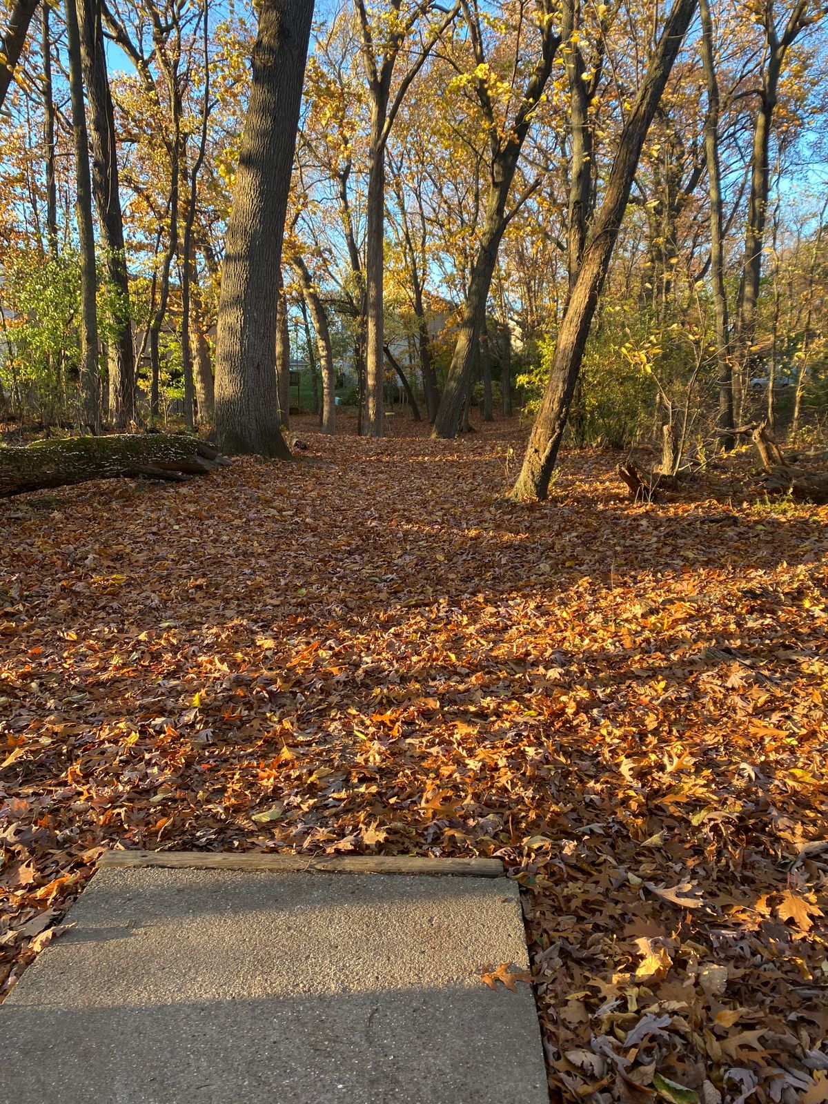 Hole 8 Tee Pad