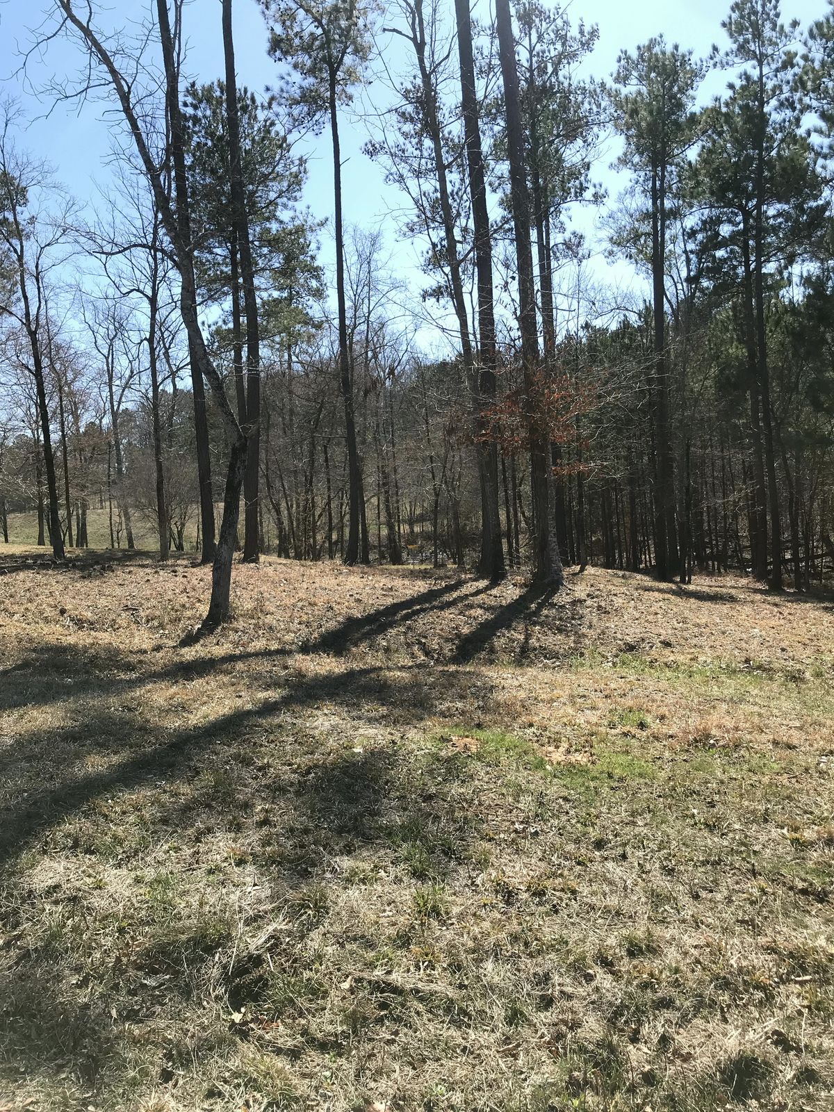 Hole 8 - fairway to basket