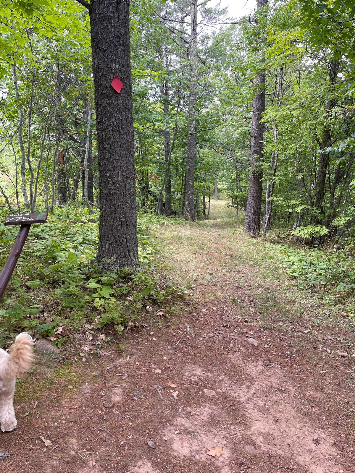 Hole 9’s teepad