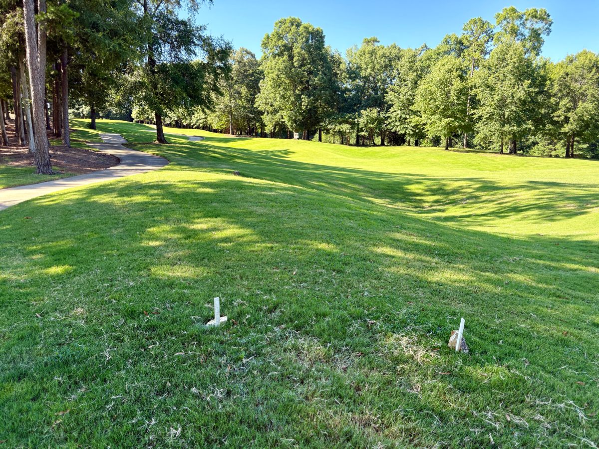 Hole 15 tee