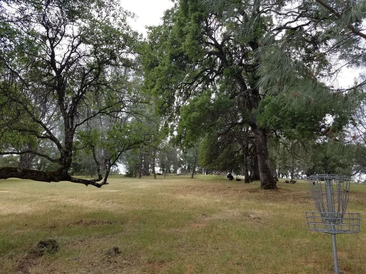 Hole 1