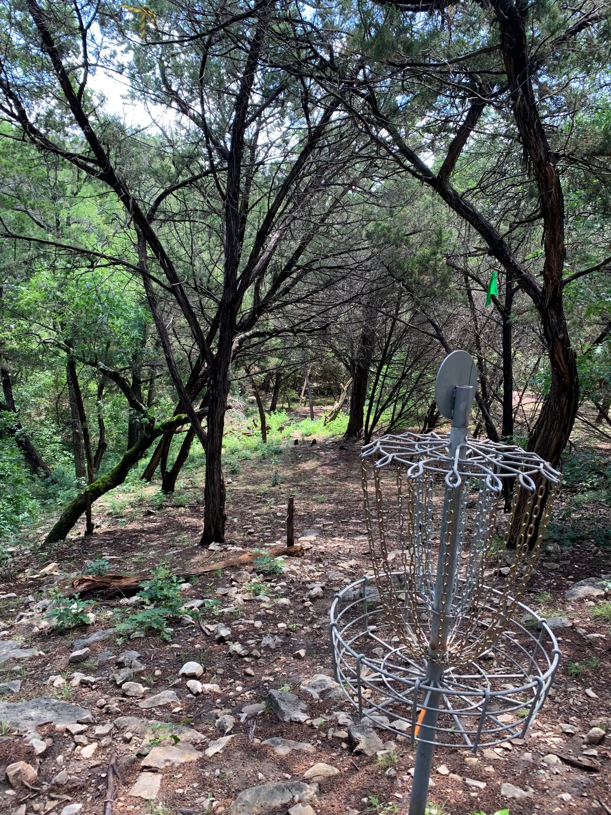 Hole 6 - Tee (from Basket)