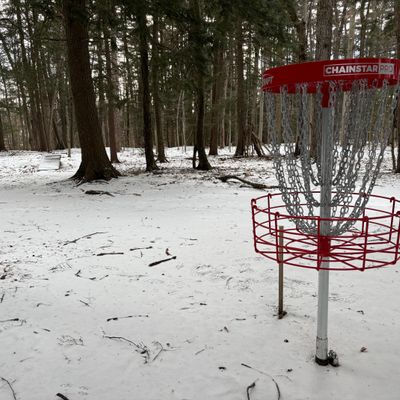 Hole 3/12 Basket in the depths of winter