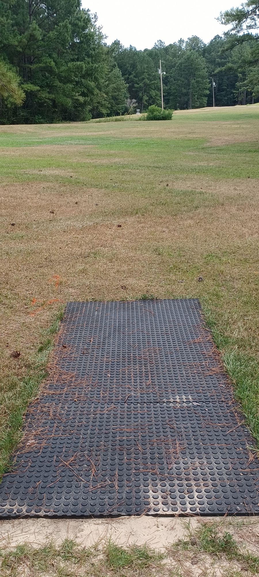 Hole 7