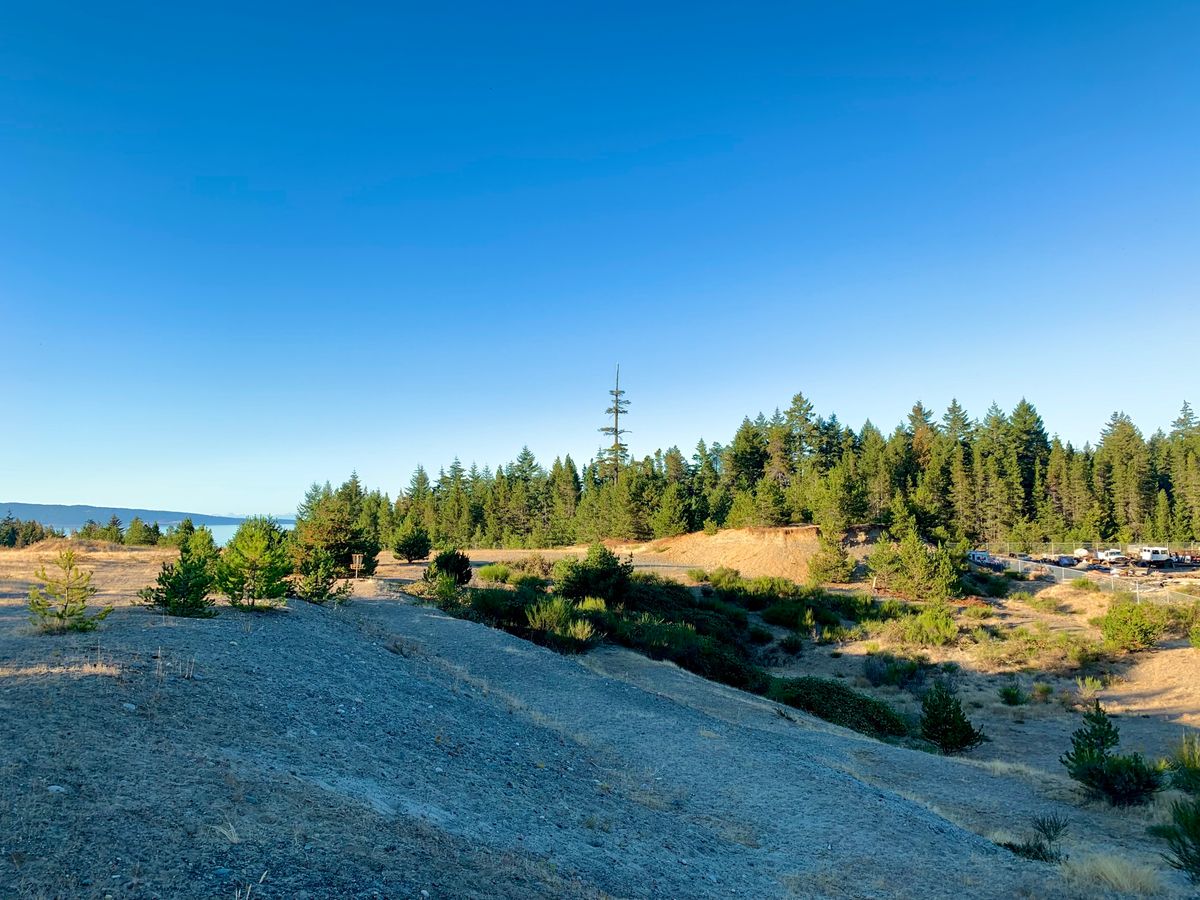 View of the gully, #10 basket, & #9 tonal