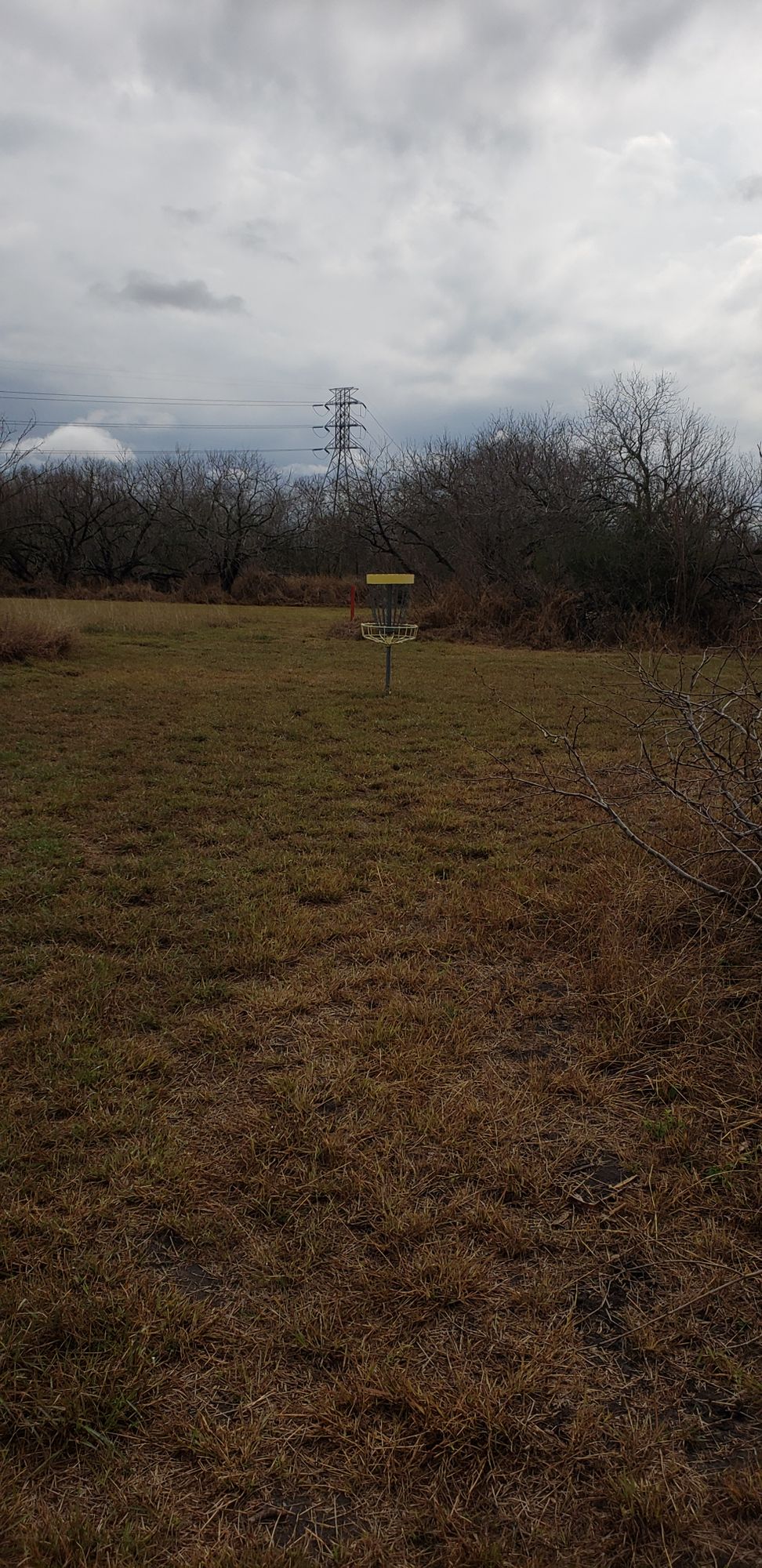 Hole 5 basket