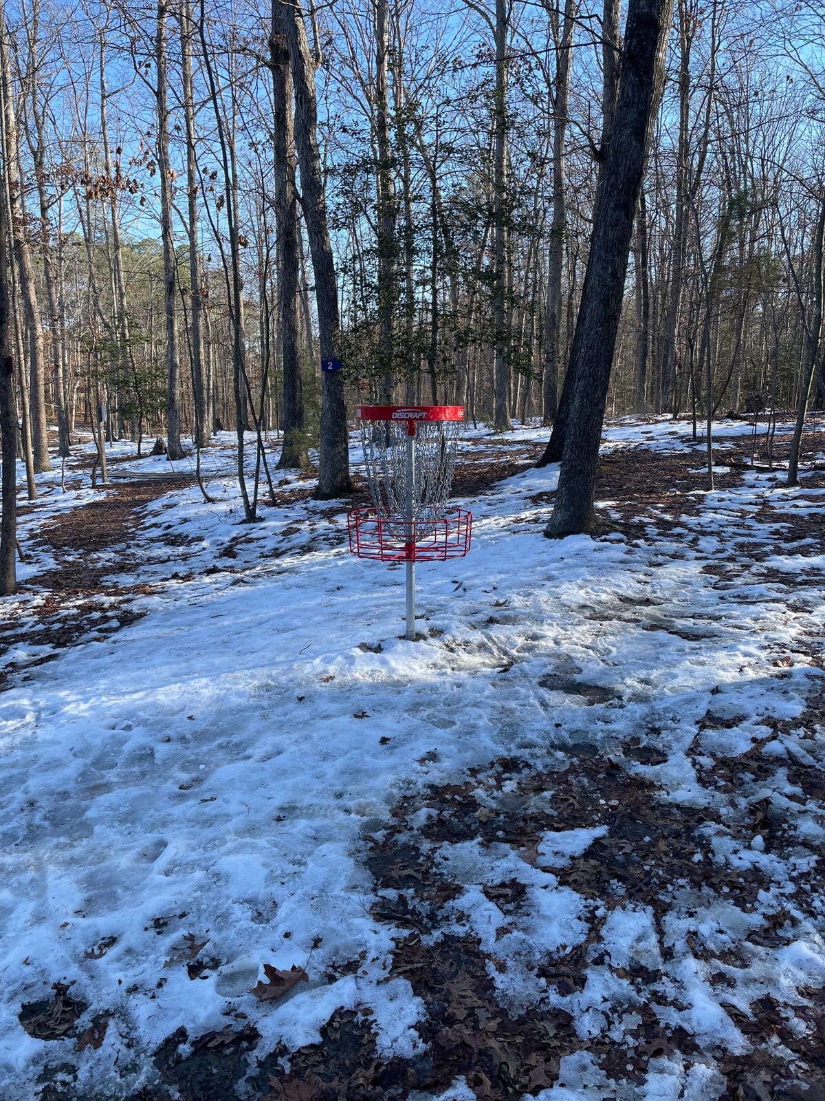 Snow around basket 1 today
