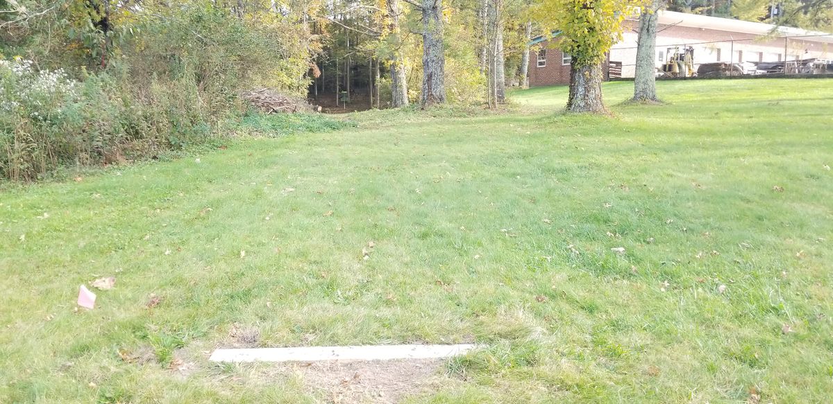 Hole 11 tee