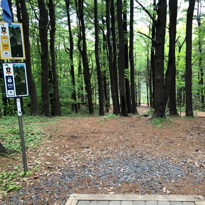 Hole 4