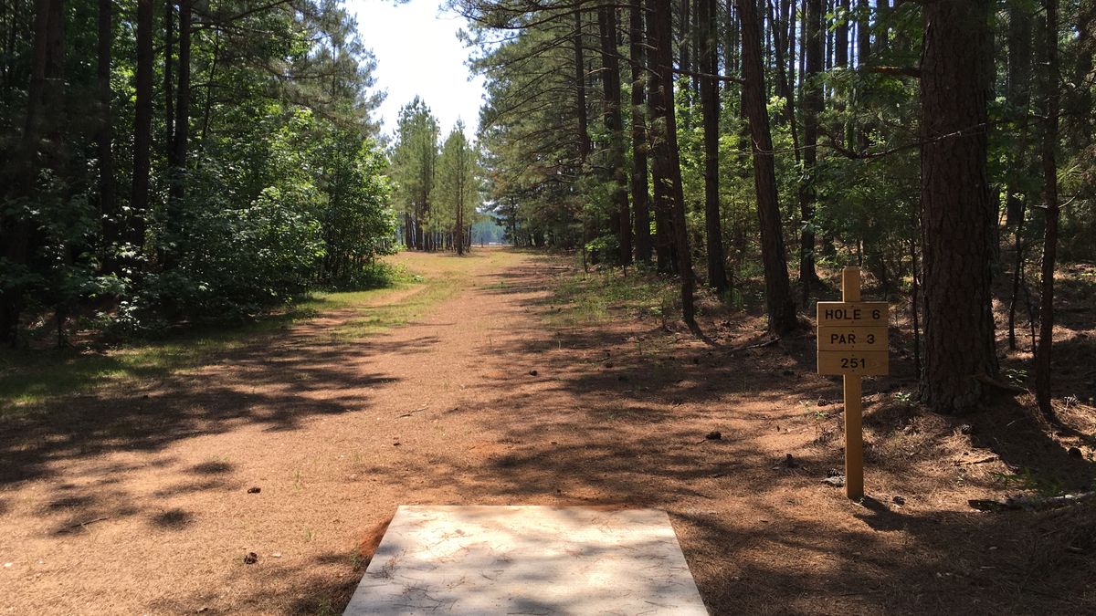 Hole 6