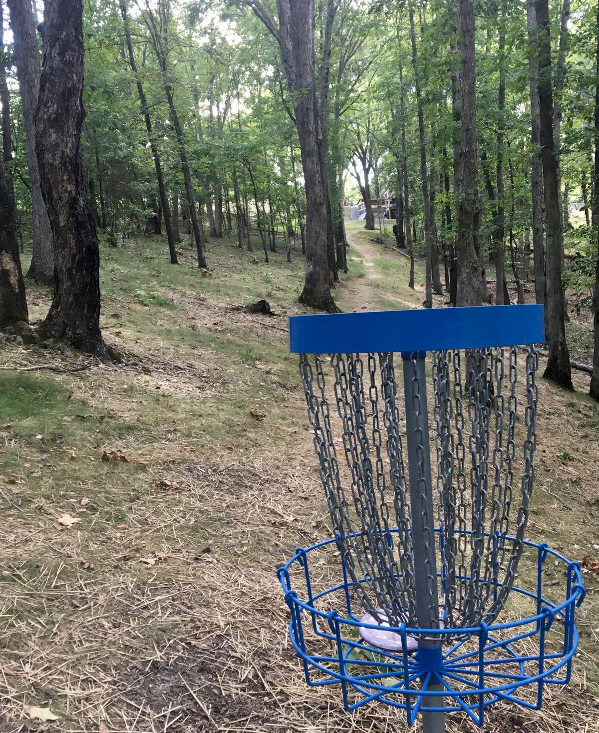 Hole 1 Basket to Tee (Blue Course)