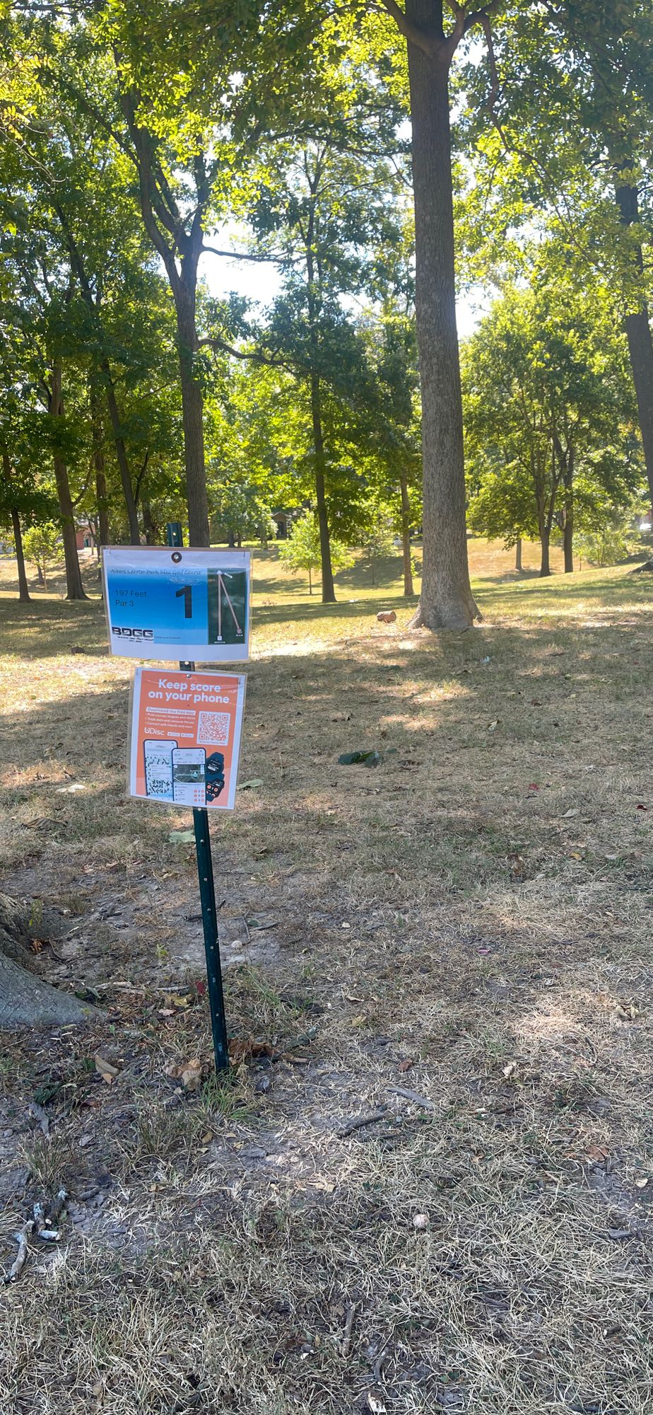 Tee 1