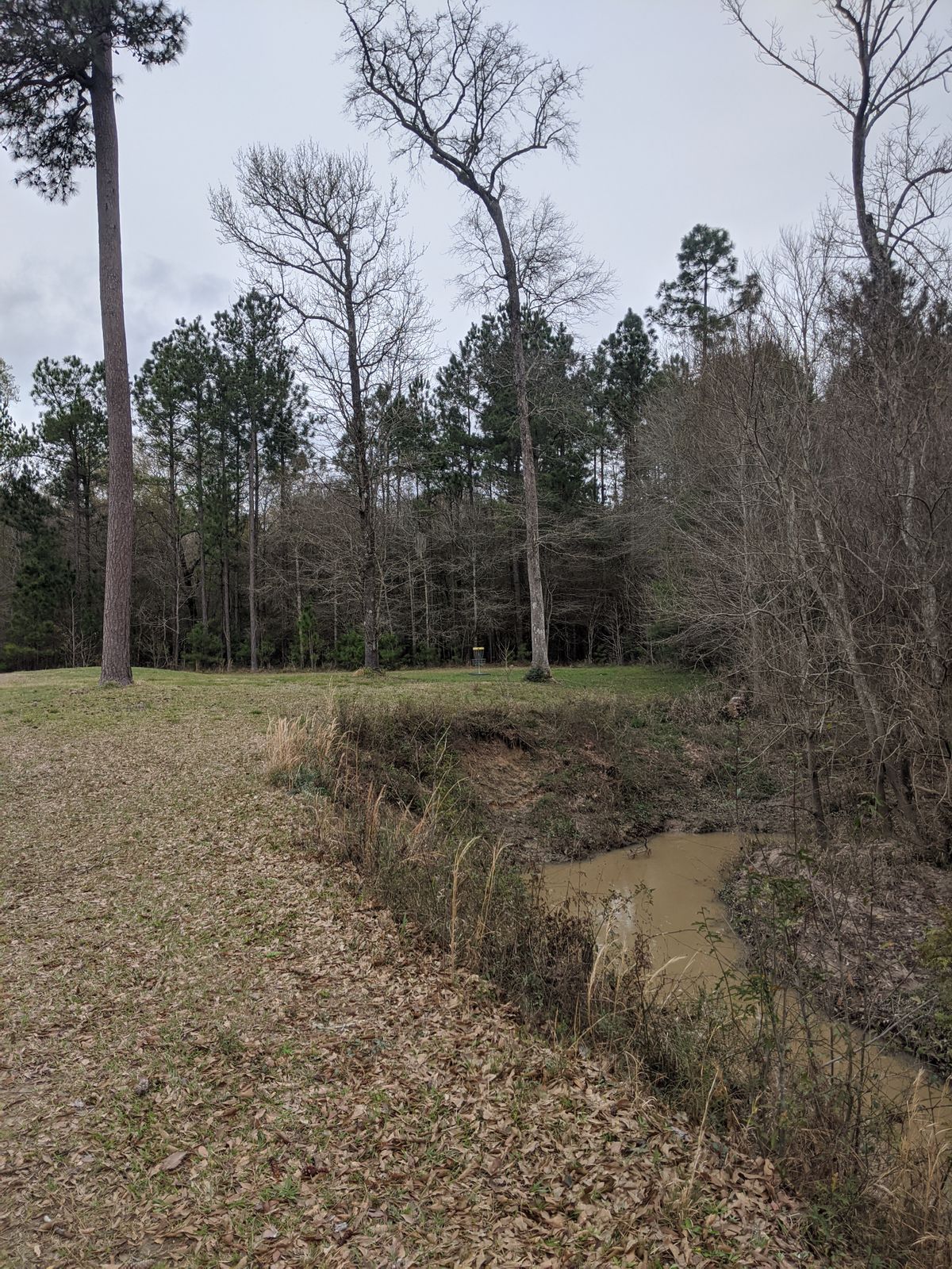 Hole 14 Fairway