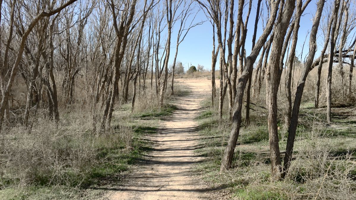 Hole 6